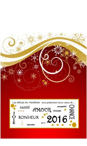 voeux2016