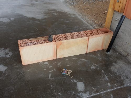 DSCN1257